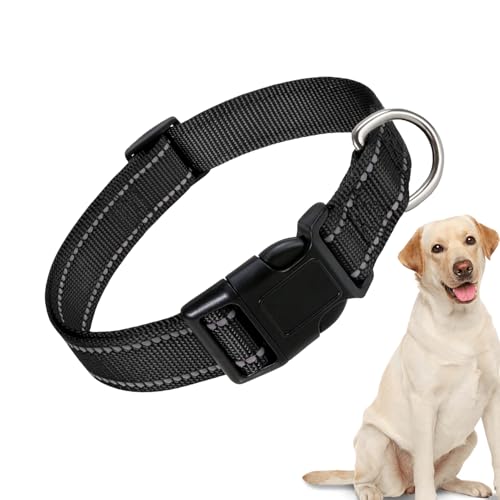 Reflektierender Hundehalsband | Einstellbare Sicherheitskatze Kragen | Bequeme atmungsaktive Nylon -Haustierkragen für mittelgroße Katze und Hund Reflektierender Hundehalsband | Einstellbare Sicherheitskatze Kragen | Bequeme atmungsaktive Nylon -Haustierkragen für mittelgroße Katze und Hund von Yhsioaklo