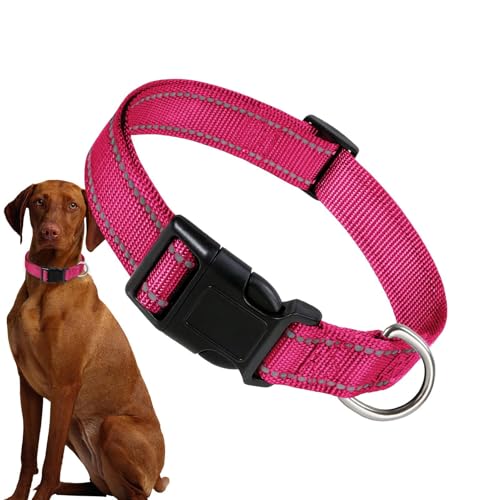 Reflektierendes Hundehalsband, verstellbares Sicherheitskatzenhalsband, bequemes, atmungsaktives Nylon-Haustierhalsband für mittelgroße Katzen und Hunde Reflektierendes Hundehalsband, verstellbares Sicherheitskatzenhalsband, bequemes, atmungsaktives Nylon-Haustierhalsband für mittelgroße Katzen und Hunde von Yhsioaklo