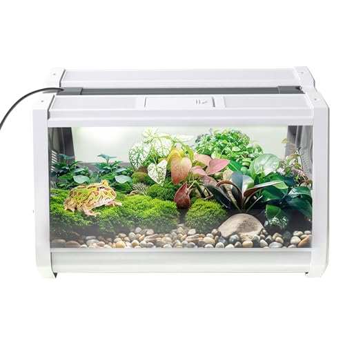 Reptiliengehege – 27 x 19 cm PET-Eidechsen-Tank, Laufstall, Belüftung, Fütterung, Aquarium, tragbarer Lebensraum, ausbruchsicher, für Spinnen, Tiere, Schlangen, Schnecken, Frösche, Schildkröten Reptiliengehege – 27 x 19 cm PET-Eidechsen-Tank, Laufstall, Belüftung, Fütterung, Aquarium, tragbarer Lebensraum, ausbruchsicher, für Spinnen, Tiere, Schlangen, Schnecken, Frösche, Schildkröten von Yhsioaklo