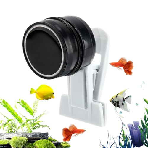 Seetangclip | -Fütterungsclip mit magnetischem Aquarium -Merkmalen | Veggie Feeder Clíp | Effizienter Fischtankfutterautomatik -Lebensmittelhalter für Schildkrötengarnelen Betta Wartung Süßwas Seetangclip | -Fütterungsclip mit magnetischem Aquarium -Merkmalen | Veggie Feeder Clíp | Effizienter Fischtankfutterautomatik -Lebensmittelhalter für Schildkrötengarnelen Betta Wartung Süßwas von Yhsioaklo