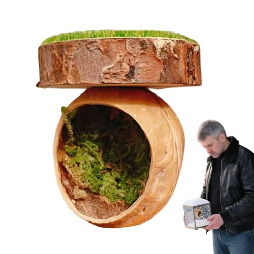 Sprungspinnen -Versteck Sprungspinnengehäuse, Sprungspinnenhöhle, Magnetische Sprungspinnen -Versteck Lebensräume - Handgefertigte Reptilien Amphibienzubehör Magnetisch Für Tarantula House Cage Kleine von Yhsioaklo