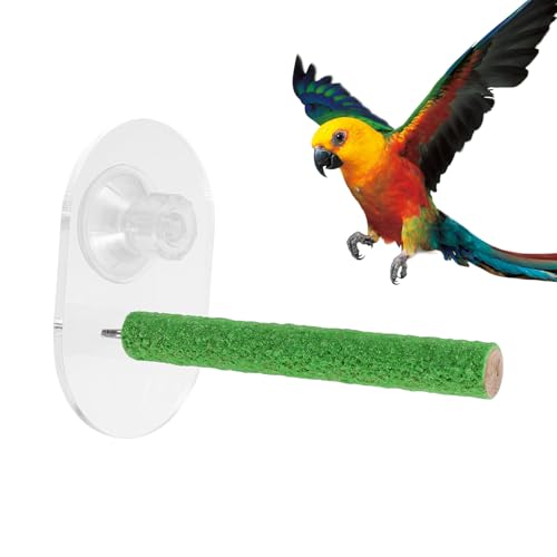 Vogel-Sitzstange für Papageien, Vogelstange mit Saugnapf, tragbar, bissfest, Duschstange, Sittich, Nymphensittich, Ständer für Zuhause, Außenbereich, Fensterglas Vogel-Sitzstange für Papageien, Vogelstange mit Saugnapf, tragbar, bissfest, Duschstange, Sittich, Nymphensittich, Ständer für Zuhause, Außenbereich, Fensterglas von Yhsioaklo