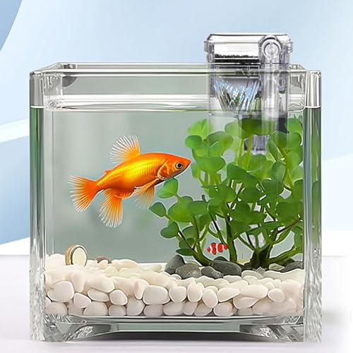Yhsioaklo Aquariumfilter | Filtrationspumpe | Stille Aquariumfilter, einstellbare Externe Durchflussfilter, Aquariumzubehör, sauberes Wasser und Tiergesundheit Yhsioaklo Aquariumfilter | Filtrationspumpe | Stille Aquariumfilter, einstellbare Externe Durchflussfilter, Aquariumzubehör, sauberes Wasser und Tiergesundheit von Yhsioaklo