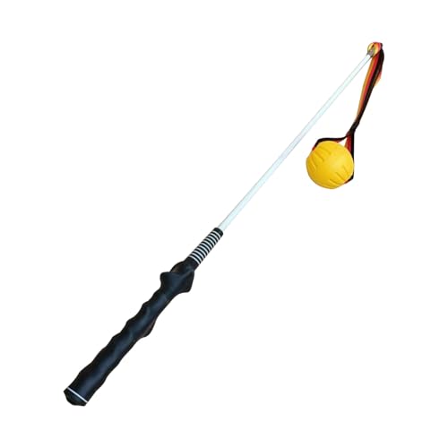 Yhsioaklo Flirt Pole für Hunde | Edelstahl Große Hunde Teaser Pole | Interaktives Hundespielzeug | Interaktives Welpen-Tauzieh-Übungsspielzeug, Haustier-Trainingsstab für Rasen Hinterhof Yhsioaklo Flirt Pole für Hunde | Edelstahl Große Hunde Teaser Pole | Interaktives Hundespielzeug | Interaktives Welpen-Tauzieh-Übungsspielzeug, Haustier-Trainingsstab für Rasen Hinterhof von Yhsioaklo