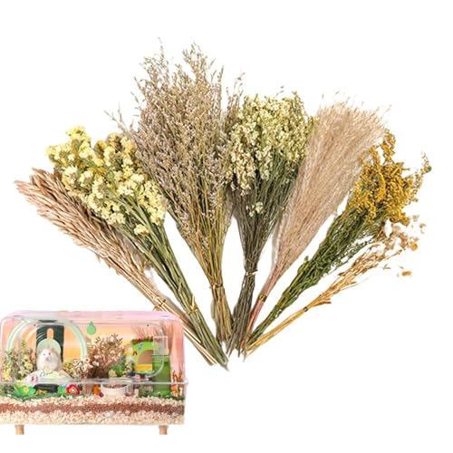 Yhsioaklo Hamster-Bettwäsche – Hamster-Heublumen-Bettwäsche – Blumenwohnraum-Dekoration, Hauskäfig-Dekoration, natürliche Hamster-Bettwäsche Blumen für Lemming-Meerestiere Yhsioaklo Hamster-Bettwäsche – Hamster-Heublumen-Bettwäsche – Blumenwohnraum-Dekoration, Hauskäfig-Dekoration, natürliche Hamster-Bettwäsche Blumen für Lemming-Meerestiere von Yhsioaklo
