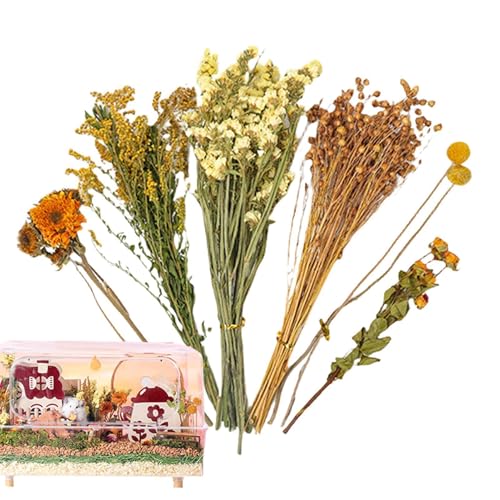 Yhsioaklo Hamster-Bettwäsche – Hamster-Heublumen-Bettwäsche – Blumenwohnraum-Dekoration, Hauskäfig-Dekoration, natürliche Hamster-Bettwäsche Blumen für Lemming-Meerestiere Yhsioaklo Hamster-Bettwäsche – Hamster-Heublumen-Bettwäsche – Blumenwohnraum-Dekoration, Hauskäfig-Dekoration, natürliche Hamster-Bettwäsche Blumen für Lemming-Meerestiere von Yhsioaklo