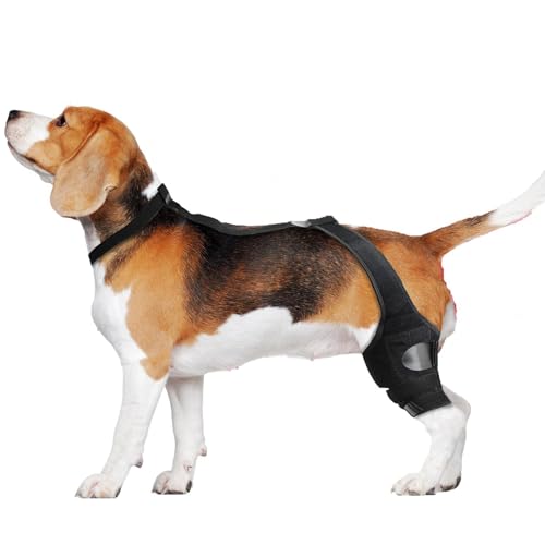 Yhsioaklo Hunde-Beinbandage | Hunde-Kniebandage mit verstellbarem Riemen | Hínd Leg Protector | Hock Wrap Sleeve | Haustier-Kniebandage zur Fixierung von Schwäche, Unterstützung bei Genesung Yhsioaklo Hunde-Beinbandage | Hunde-Kniebandage mit verstellbarem Riemen | Hínd Leg Protector | Hock Wrap Sleeve | Haustier-Kniebandage zur Fixierung von Schwäche, Unterstützung bei Genesung von Yhsioaklo