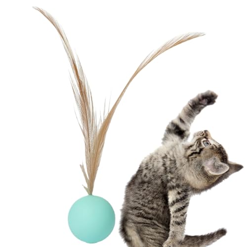 Yhsioaklo Katzenkugelspielzeug - Hüpfwall, Animal Treat | Buntes Klauenspinner, Whisker Swat -Kugel, Pet -Puzzle -, Kitty -Reaktionsverstärker, Orb -Distraktion Spielzeug für Agile Heimunterhaltung Yhsioaklo Katzenkugelspielzeug - Hüpfwall, Animal Treat | Buntes Klauenspinner, Whisker Swat -Kugel, Pet -Puzzle -, Kitty -Reaktionsverstärker, Orb -Distraktion Spielzeug für Agile Heimunterhaltung von Yhsioaklo