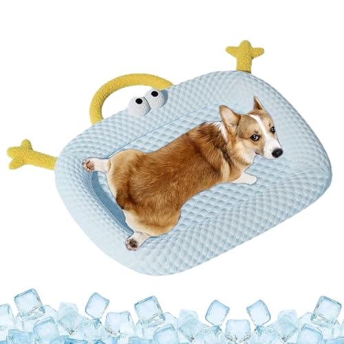 Yhsioaklo Kühlmatte für Hunde – rutschsichere Eismatte für Tiere – rutschfeste Matte für Haus und Outdoor/Reise Yhsioaklo Kühlmatte für Hunde – rutschsichere Eismatte für Tiere – rutschfeste Matte für Haus und Outdoor/Reise von Yhsioaklo