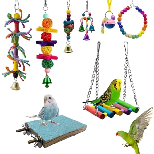 Yhsioaklo Vogel-Kauspielzeug – 8 Vogel-Kauspielzeuge, Futtersuche, Shredder, Spielzeug-Set, Mehrfarbig, natürliches Sittichspielzeug mit Schaukel, Vogelkauspielzeug für kleine Sittiche, Yhsioaklo Vogel-Kauspielzeug – 8 Vogel-Kauspielzeuge, Futtersuche, Shredder, Spielzeug-Set, Mehrfarbig, natürliches Sittichspielzeug mit Schaukel, Vogelkauspielzeug für kleine Sittiche, von Yhsioaklo