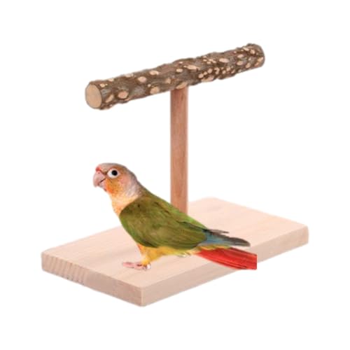 pàpageien -Barsch | Vogelperch | Naturholzstützen | Übungsspielzeug für Vögel, Schleiftraining Spielzeug, Tischstange für KAOPSITES, Pfingstrosen, Aras pàpageien -Barsch | Vogelperch | Naturholzstützen | Übungsspielzeug für Vögel, Schleiftraining Spielzeug, Tischstange für KAOPSITES, Pfingstrosen, Aras von Yhsioaklo