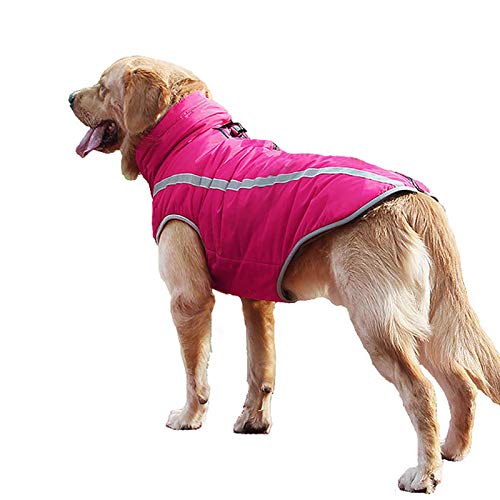 YiCTe Winter Hundejacke Reflektierende Hundemantel warme Winddicht Hundekleidung Wasserdicht Hundekleidung Hundeweste für große Hunde, Rosenrot 2XL von YiCTe