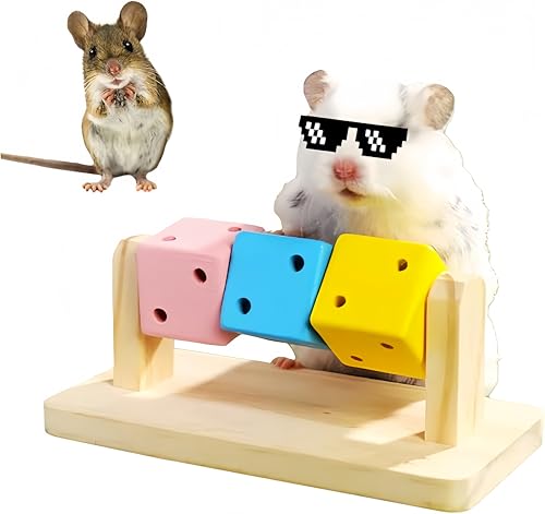 Hamster-Kauspielzeug aus Holz – bunter Holzblock für kleine Tiere wie Chinchilla, Zuckergleiter, Zwerghamster – Zähneknirschen, Übung und Intelligenztraining zur Käfiganreicherung von YiJPXinADZ