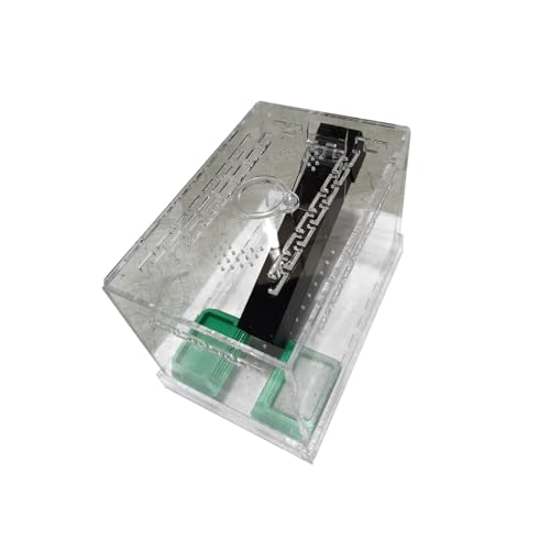 Acryl Crickets Panzer Für Heimbüro Umfassen Fütterungswannen Und HASS Röhrchen Abfallschublade Acryl Crickets Panzer Für Heimbüro Umfassen Fütterungswannen Und HASS Röhrchen Abfallschublade von YiQinzcxg