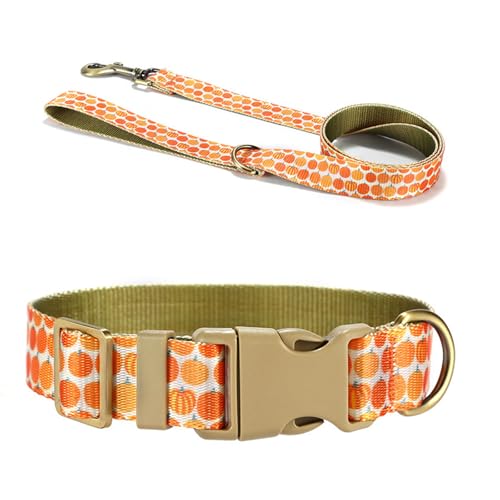 YiQinzcxg Hundeleine Hundegeschirr Halsband Mit Schönem Kürbishalsband Seil 1 2 M Lang Für Starkes Training Wandern Schwimmen Wandern YiQinzcxg Hundeleine Hundegeschirr Halsband Mit Schönem Kürbishalsband Seil 1 2 M Lang Für Starkes Training Wandern Schwimmen Wandern von YiQinzcxg