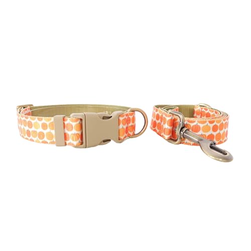 YiQinzcxg Hundeleine Hundegeschirr Halsband Mit Schönem Kürbishalsband Seil 1 2 M Lang Für Starkes Training Wandern Schwimmen Wandern YiQinzcxg Hundeleine Hundegeschirr Halsband Mit Schönem Kürbishalsband Seil 1 2 M Lang Für Starkes Training Wandern Schwimmen Wandern von YiQinzcxg