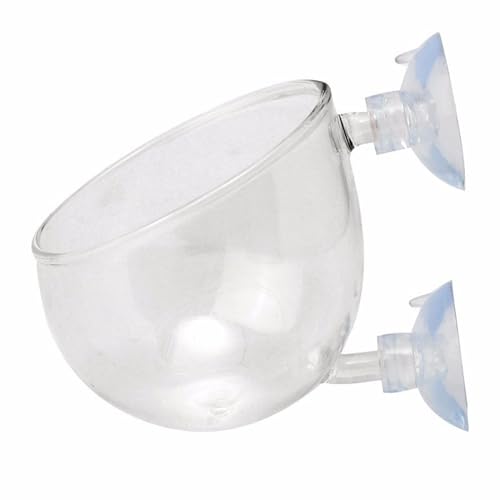 YiQinzcxg Pflanzenhalter Saugnäpfen Pflanzendekoration Aquarien Aquarien Landschaftsbau YiQinzcxg Pflanzenhalter Saugnäpfen Pflanzendekoration Aquarien Aquarien Landschaftsbau von YiQinzcxg