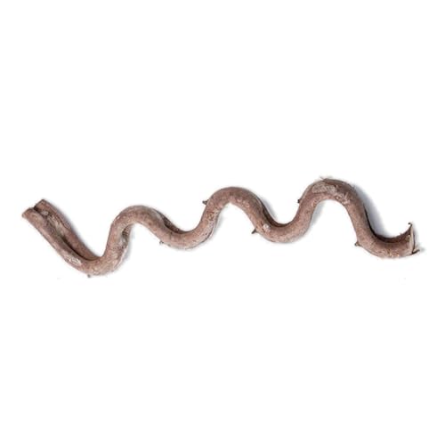 YiQinzcxg Terrarien Natürliches Rattan Für Eidechsen Kletternde Und Ruhende Reptilien Eckzweige Aquarien Zubehör Lebensräume Dekorationen YiQinzcxg Terrarien Natürliches Rattan Für Eidechsen Kletternde Und Ruhende Reptilien Eckzweige Aquarien Zubehör Lebensräume Dekorationen von YiQinzcxg