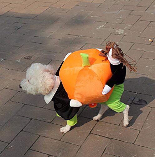 YiZYiF Hund tragen Kürbis Kostüm/Piratenkostüm komische Kleidung Katze Haustier Hundekostüm S-2XL (Large, Kürbis Kostüm) von YiZYiF