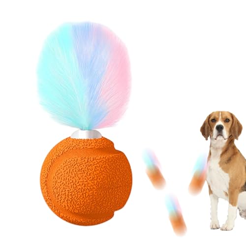 Yianyal Federball Katzen Spielzeug | Katzenkinder Aktivball Mit Klang | Hüpfendes Spielzeug Zur Bewegung Und Unterhaltung Gegen Langeweile Für Wohnungskatzen Yianyal Federball Katzen Spielzeug | Katzenkinder Aktivball Mit Klang | Hüpfendes Spielzeug Zur Bewegung Und Unterhaltung Gegen Langeweile Für Wohnungskatzen von Yianyal