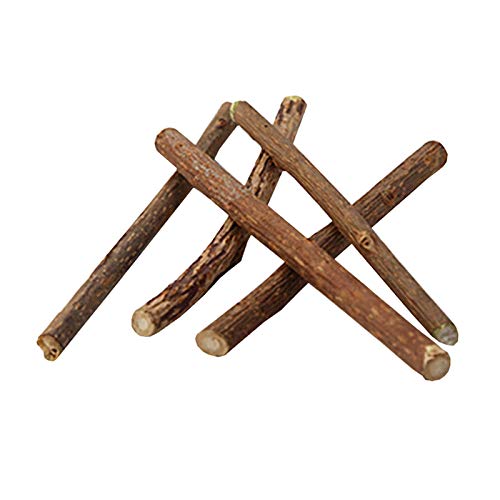 Yicare Katzenminze Sticks 10 Stück Matatabi-Kausticks als Katzenspielzeug für die natürliche Katzen Zahnpflege Dental Kau-Sticks helfen bei Zahnstein Mundgeruch Yicare Katzenminze Sticks 10 Stück Matatabi-Kausticks als Katzenspielzeug für die natürliche Katzen Zahnpflege Dental Kau-Sticks helfen bei Zahnstein Mundgeruch von Yicare