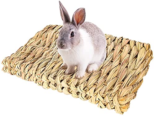 Yicare Tier-Kauspielzeug, Betten, natürlich gewebte Grasmatten, Kaninchen-Bett, Nest für Meerschweinchen, Papageien, Kaninchen, Hamster, Ratten, 2 Stück Yicare Tier-Kauspielzeug, Betten, natürlich gewebte Grasmatten, Kaninchen-Bett, Nest für Meerschweinchen, Papageien, Kaninchen, Hamster, Ratten, 2 Stück von Yicare