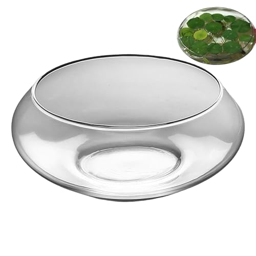 Yidueace Gläserne Fischschale Vase | Hydrokultur Bonsai,Klar Rund Indoor Sukkulenten Vase Fischglas Für Tischdekoration Hochzeit Zuhause Festlich von Yidueace