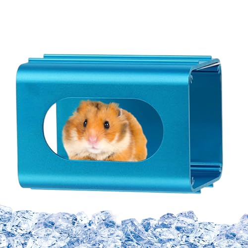 Yidueace Hamsterhöhle - Hamster Tunnel Spielzeug Röhre | Kleintier Habitat Hängedesign für Chinchillas Igel Rennmäuse Zwergkaninchen Yidueace Hamsterhöhle - Hamster Tunnel Spielzeug Röhre | Kleintier Habitat Hängedesign für Chinchillas Igel Rennmäuse Zwergkaninchen von Yidueace