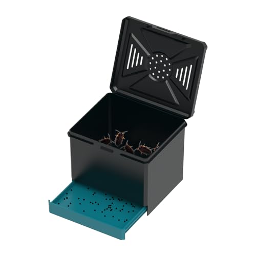 Yidueace Spinnenterrarium, Futterbox, Belüfteter Lebensraum Für Wissenschaftsprojekte Bildung Zuhause Wohnzimmer Reisen Camping von Yidueace