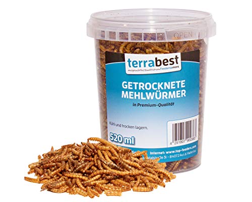 Terrabest 500ml getrocknete Mehlwürmer Premium Qualität Reptilienfutter, Fischfutter, Igelfutter, Nagerfutter, Vogelfutter, Wildvogelfutter von Terrabest