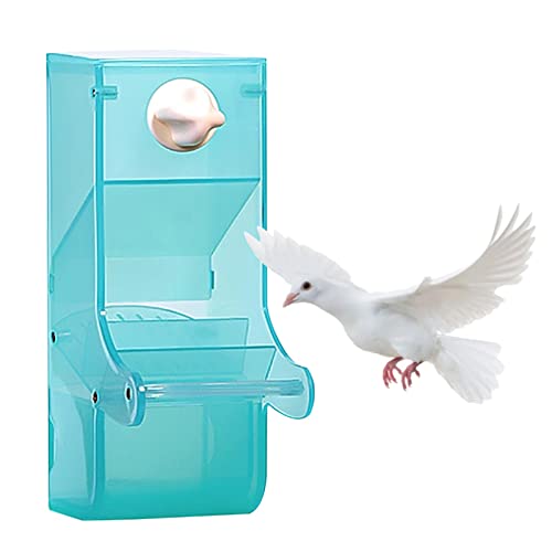 Yiida Automatischer Vogelfutterspender No Chaos for Cage | Futterspender für Papageiensamen ohne Chaos,Spritzwassergeschützter Futterspender für Papageien, Futterautomaten für drinnen und draußen von Yiida
