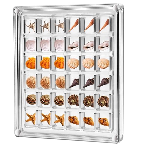 YiliYa Muschel Sammelbox,Acrylic Magnetic Seashell Display Box Seashell Storage Box Multifunktional Aufbewahrungsbox für Bead Nail Jewelry (36 Grids) von YiliYa