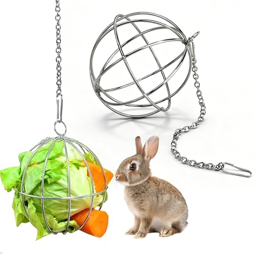 2 Stück Edelstahl Feeder Spielzeug mit Hängenden Haken Edelstahl Feeder Ball Heuball Kaninchen Spielzeugs,für Kaninchen Metall Heuball Kaninchen Heuball für Meerschweinchen,Hamster,Kaninchen Nager 2 Stück Edelstahl Feeder Spielzeug mit Hängenden Haken Edelstahl Feeder Ball Heuball Kaninchen Spielzeugs,für Kaninchen Metall Heuball Kaninchen Heuball für Meerschweinchen,Hamster,Kaninchen Nager von YiliYa