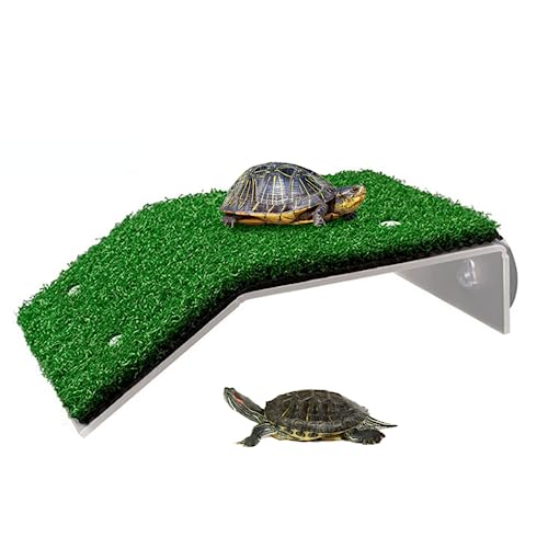 Yililay Schildkröte Backenplattform mit Saugnapfbär bis zu 2 kg Harz Schildkröte Aufstieg Leiter ruhender Terrassenschildkrötenzubehör für Reptilienfrosch Terrrapin von Yililay