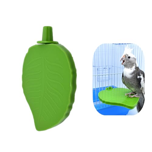 1 x Vogel-Sitzstange, stabile Vogelplattform, Papageien-Plattform, Spielzeug, Blattform, Sitzstange, Spielzeug für Papageien, Vogelkäfig-Zubehör (grün) von Yimluofa
