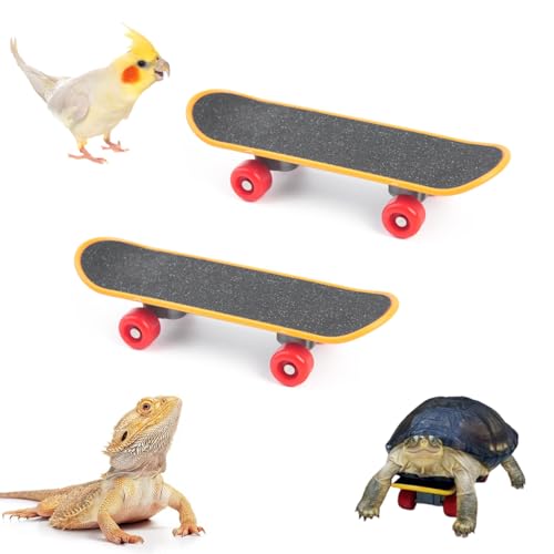 Yimluofa 2 Stück Schildkröten-Skateboard Kreative Schildkröte Mini-Skateboard Spielzeug Vogel Papagei Intelligenz Spielzeug Mini Training Skateboard Finger Skateboard für Kleintiere Haustiere von Yimluofa