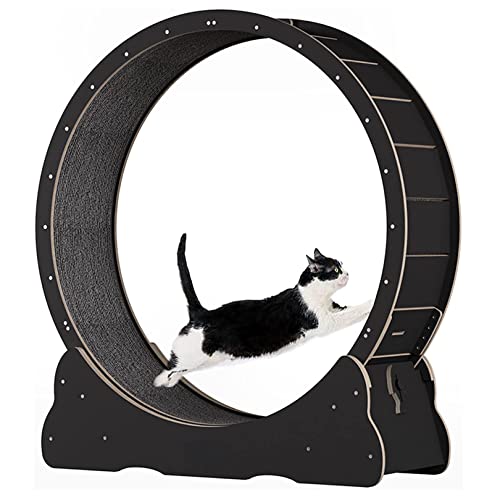 Yinghesheng Katzenlaufrad, Katzenlaufband für Hauskatzen, Katzenspinnrad, Katzenspielzeug, interaktives Katzenspielzeug, Katzen-Abnehmgerät für Katzen Aller Größen (geräuschlos),Schwarz von Yinghesheng