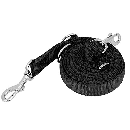 Doppelte Leine für Zwei Hunde, Doppelhund -Leine Nylon Flexible Haustierhund -Wanderleinen Traktionseil mit Kette Dual für Mittlere und Große Rassen Doppelte Zwei Hunde (2,5 cm * 200 cm) von Yinhing