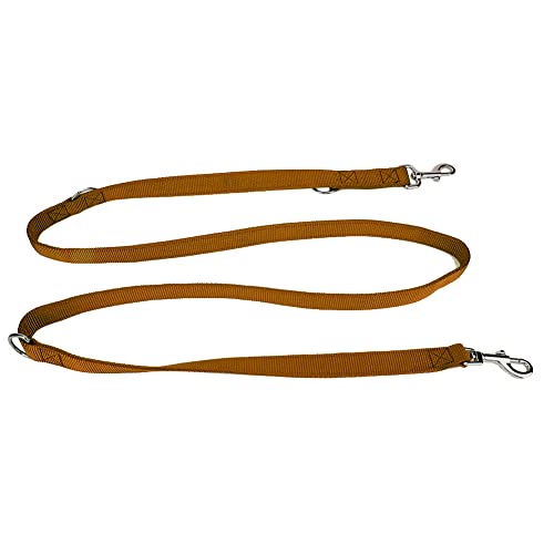 Doppelte Leine für Zwei Hunde, Doppelhund -Leine Nylon Flexible Haustierhund -Wanderleinen Traktionseil mit Kette Dual für Mittlere und Große Rassen Doppelte Zwei Hunde (2,5 cm * 200 cm) von Yinhing