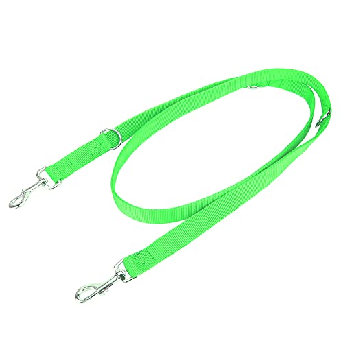 Doppelte Leine für Zwei Hunde, Doppelhund -Leine Nylon Flexible Haustierhund -Wanderleinen Traktionseil mit Kette Dual für Mittlere und Große Rassen Doppelte Zwei Hunde (2,5 cm * 200 cm) von Yinhing