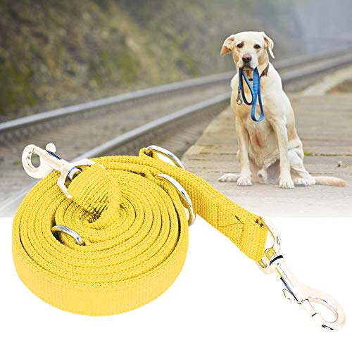 Doppelte Leine für Zwei Hunde, Doppelhund -Leine Nylon Flexible Haustierhund -Wanderleinen Traktionseil mit Kette Dual für Mittlere und Große Rassen Doppelte Zwei Hunde (2,5 cm * 200 cm) von Yinhing