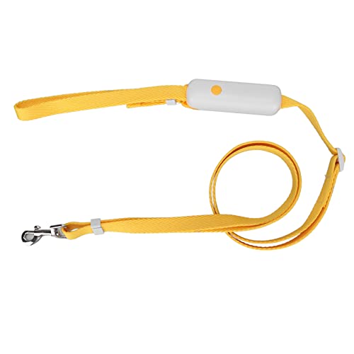 Einziehbare Hundeleine, Lange Leine für Hunde mit Anpassungsschnalle Hanging Loop und Snap Lock Heavy Duty Haustier Walking Lash Dog Longe Leine für Kleine und Mittlere Hunde (White) von Yinhing