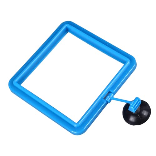 Fischfutterautomaten, Betta Fischspielzeug Fischbox Handtücher mit Saugnapfbecher Fisch Floating Food Feeder Kreis Beta Fisch Aquarien Accessoires für Guppy, Goldfische und Andere Kleine Fische, Fischfutterautomaten, Betta Fischspielzeug Fischbox Handtücher mit Saugnapfbecher Fisch Floating Food Feeder Kreis Beta Fisch Aquarien Accessoires für Guppy, Goldfische und Andere Kleine Fische, von Yinhing