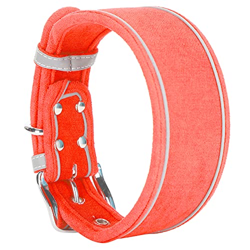 Hundehalsbänder Nutzen Leine, Hundehalsband für Große Hundehundhundkragen mit D -Ringen Atmungsaktiv (#6) von Yinhing