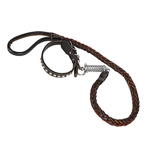 Hundehalsband und Leine Set, Hundekabelbaum Haustier Leinekragen (Black) von Yinhing