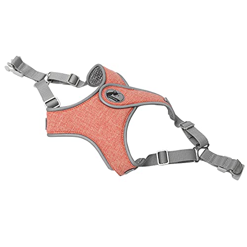 Hundekabelbaum und Leine Set, Hundeweste Kabelbaum Verstellbare Atmungsaktive Katzenhund Im Freien Im Freien Getremente Reflektierende Haustier Leine Weste Welpengurt für Kleine Mittelgroße Hunde (XS) Hundekabelbaum und Leine Set, Hundeweste Kabelbaum Verstellbare Atmungsaktive Katzenhund Im Freien Im Freien Getremente Reflektierende Haustier Leine Weste Welpengurt für Kleine Mittelgroße Hunde (XS) von Yinhing