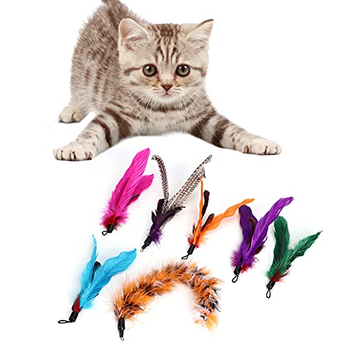 Katzenfederspielzeug, Katzenspielzeug Federstangenstab Feder Ersatz Kopf Katzen Lieferungen 7pcs Haustierkatze Teaser Dangler Spielzeugfeder Spielzeug für Innenkatzen für Alle Rassen und Arten Katzenfederspielzeug, Katzenspielzeug Federstangenstab Feder Ersatz Kopf Katzen Lieferungen 7pcs Haustierkatze Teaser Dangler Spielzeugfeder Spielzeug für Innenkatzen für Alle Rassen und Arten von Yinhing