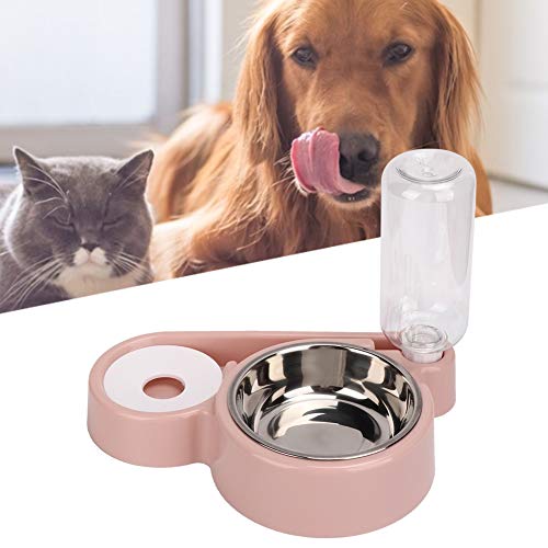 Katzenfutter und Wasserschüssel Set, Katzenschalen für Innenkatzen Edelstahl Automatische Haustier -Feeder -Doppelschalen Wasserspender Welpen Wasserspender für Kleine Hunde, Welpen, Katzen Katzenfutter und Wasserschüssel Set, Katzenschalen für Innenkatzen Edelstahl Automatische Haustier -Feeder -Doppelschalen Wasserspender Welpen Wasserspender für Kleine Hunde, Welpen, Katzen von Yinhing