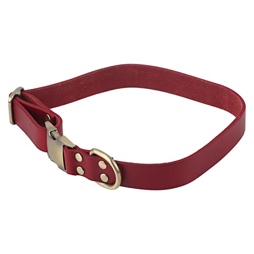 Lederhundkragen für Kleine Hunde, Schnellfreisetz Hundekragen mit Gravierter Schnalle Weiche Atmungsaktive Gepolsterte Leder -Haustierkragen Weiche Hundehalsband für Kleine Mittelgroße Große Katzen Lederhundkragen für Kleine Hunde, Schnellfreisetz Hundekragen mit Gravierter Schnalle Weiche Atmungsaktive Gepolsterte Leder -Haustierkragen Weiche Hundehalsband für Kleine Mittelgroße Große Katzen von Yinhing