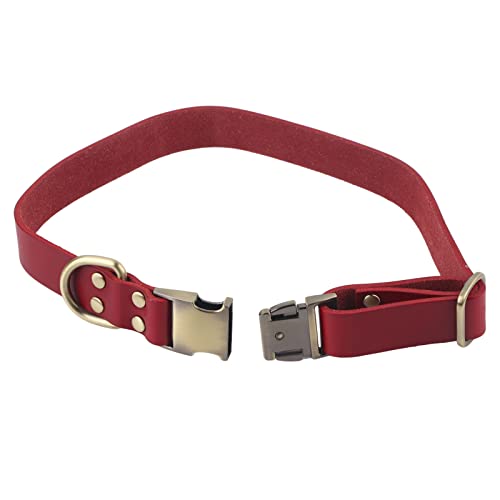 Lederhundkragen für Kleine Hunde, Schnellfreisetz Hundekragen mit Gravierter Schnalle Weiche Atmungsaktive Gepolsterte Leder -Haustierkragen Weiche Hundehalsband für Kleine Mittelgroße Große Katzen Lederhundkragen für Kleine Hunde, Schnellfreisetz Hundekragen mit Gravierter Schnalle Weiche Atmungsaktive Gepolsterte Leder -Haustierkragen Weiche Hundehalsband für Kleine Mittelgroße Große Katzen von Yinhing